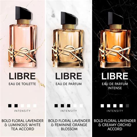 a que huele libre de ysl|perfume ysl gratis.